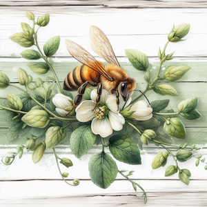 Puede incluir: Ilustración detallada de una abeja sobre una flor blanca, rodeada de hojas y capullos verdes. La abeja tiene rayas marrones y negras y alas transparentes. El fondo presenta tablones de madera blancos y verde claro.