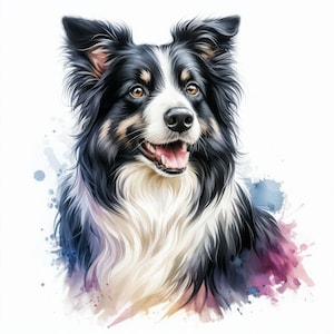 Boarder Collie Clip Art 10 JPG ad alta risoluzione dell'acquerello per Junk Journaling, Scrapbooking, Card Making, Kit di download digitale