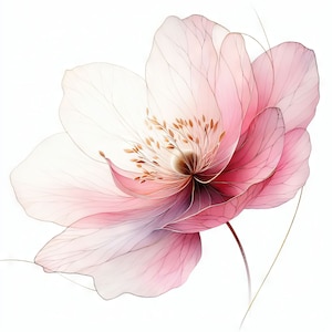 10 images JPG aquarelles haute résolution de fleurs roses bordées d'or exquis pour la journalisation indésirable, le scrapbooking, la fabrication de cartes, le kit de téléchargement numérique