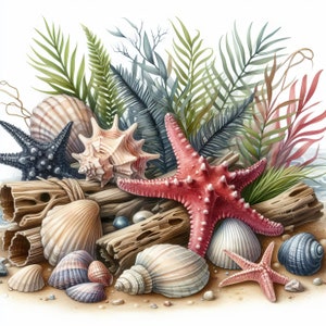 Ocean Treasures Clip Art Bundle 10 JPGs em aquarela de alta resolução para registro de lixo eletrônico, scrapbooking, criação de cartões, download digital