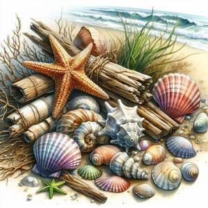 Ocean Treasures Clip Art Bundle 10 High Res Watercolor Jpgs for Junk ...
