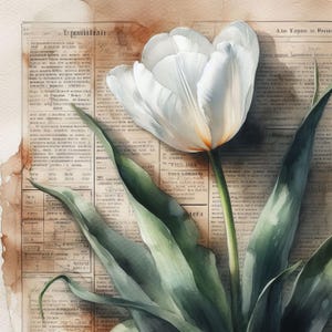 Ensemble de 10 cliparts tulipes blanches haute résolution JPG aquarelles pour la journalisation indésirable, scrapbooking, travaux manuels, téléchargement numérique