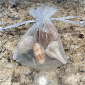 May include: A white organza bag filled with a variety of seashells. The shells are a mix of white, brown, and pink.