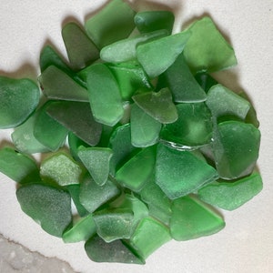 May include: A collection of green sea glass pieces, smooth and frosted from years of being tumbled by the ocean.