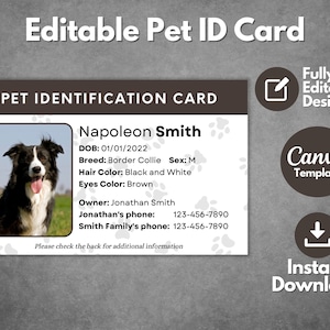 Modello modificabile di carta d'identità per animali domestici, modello di carta d'identità per cani personalizzata, badge di identificazione cane stampabile con foto, modello Canva