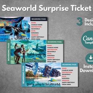 Bearbeitbare Seaworld Überraschungsticketvorlage, druckbare Seaworld Florida Bordkartenvorlage, Seaworld Urlaubsreise Geschenkticket