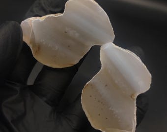 Waterline Agate Pair from Idaho.
