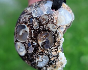 Turritella Fossil Agate, live edge pendant, on 26" Leather necklace.