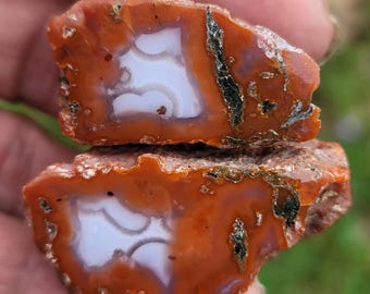 Berber Agate from Morocco: very unique pair, cut and polished by me.