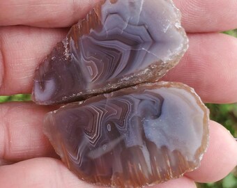 Banded Botswana Agate Pair: Wing Shape Nodule, polished