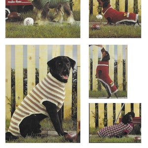 Könnte beinhalten: Vier Hunde tragen verschiedene gestrickte Pullover. Die Hunde stehen vor einem Holzzaun. Die Pullover sind grün, rot, braun-weiß gestreift und rot-weiß kariert.