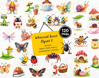 Verspieltes Insekten-Clipart-Set | Biene, Schmetterling, Springspinne, Gottesanbeterin & niedliche Käfer (PNG) | Skurrile Insektenillustrationen