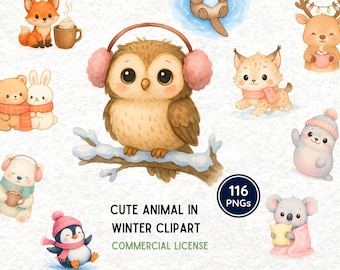 Animals in Winter Clipart | Cozy Watercolour Woodland  and Artic Animal | Fox, Racoon, Reindeer, Owl, Seal