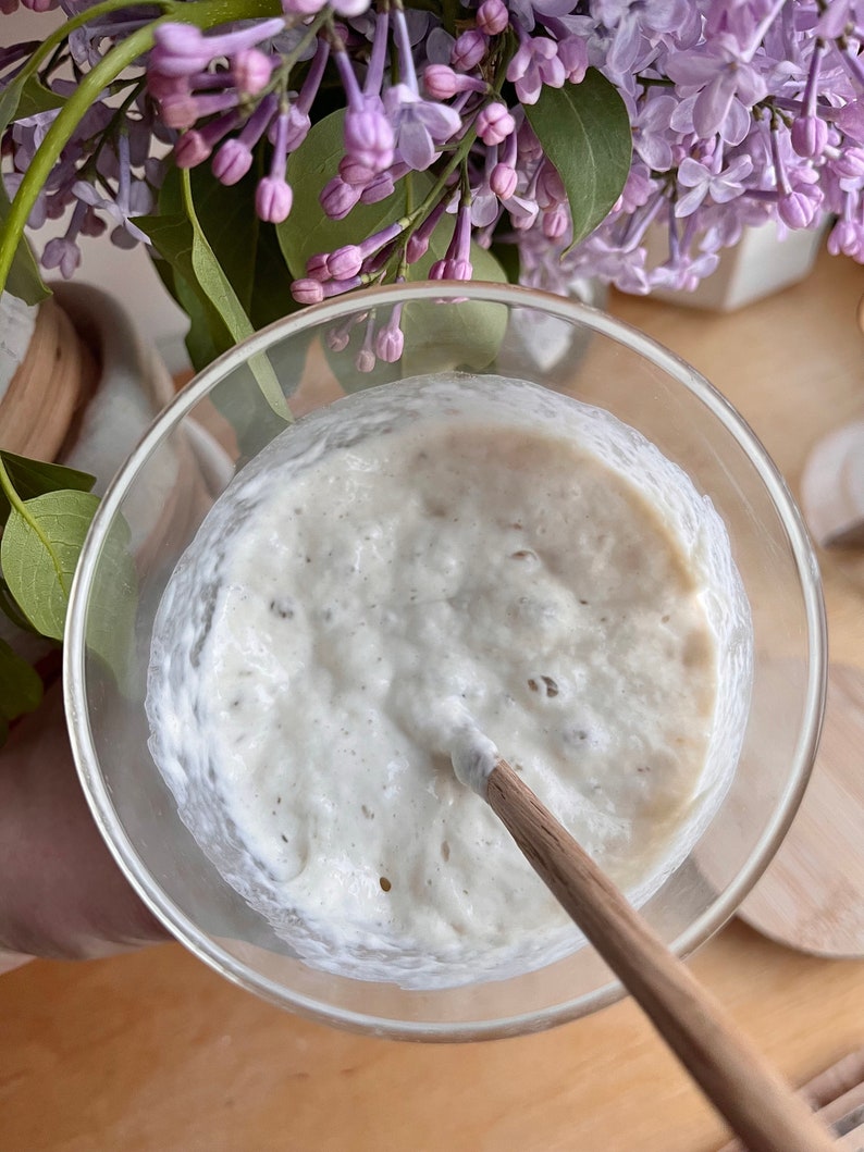 Sourdough starter White wheat zdjęcie 2