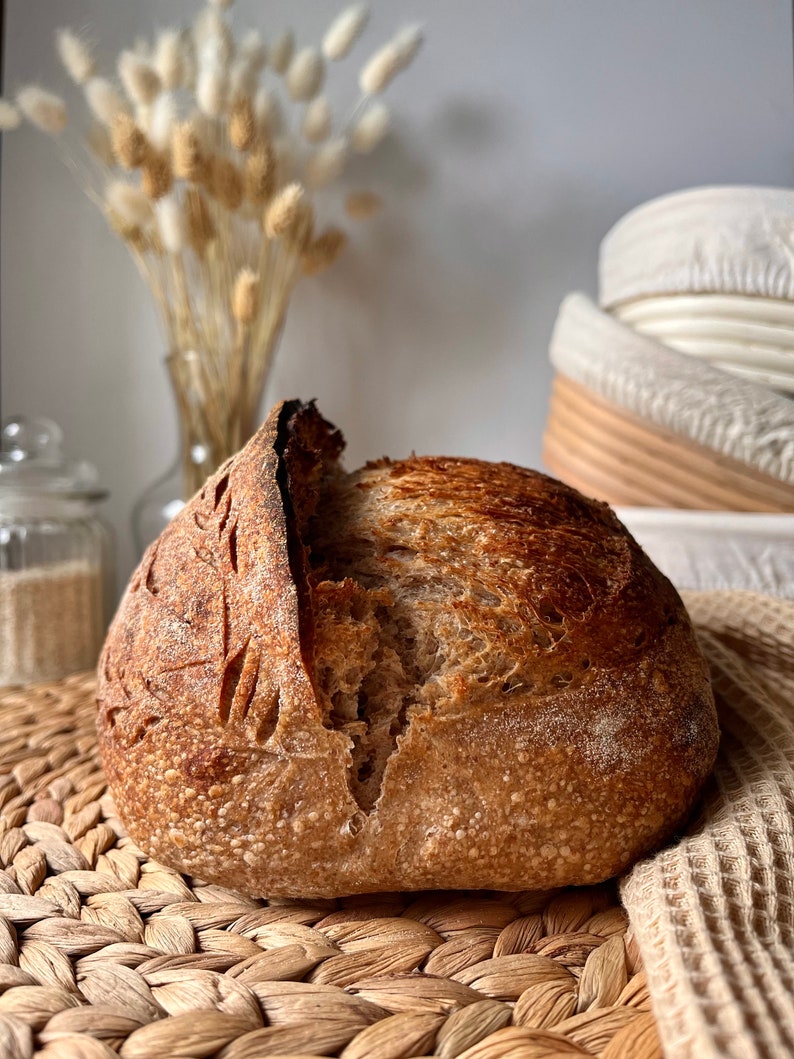 Sourdough starter White wheat zdjęcie 9