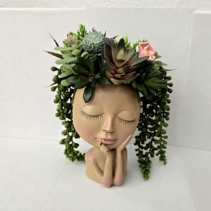 May include: A beige resin planter shaped like a human head with closed eyes and a hand resting on the chin. The head is topped with an arrangement of various green and dark-tipped artificial succulents and a single small pink flower.