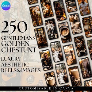 Luxus GENTLEMANS GOLDEN CHESTNUT Inhaltsbibliothek ästhetische Geschichte Vorlagen Rollen bereit, digitales Marketing gesichtslosen Instagram zu verwenden