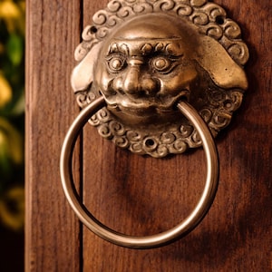 May include: A brass door knocker featuring a detailed face design and a circular handle. The knocker is mounted on a dark wooden door, highlighting the intricate craftsmanship and adding a touch of vintage charm.