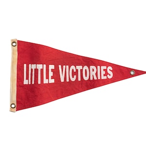 Pode incluir: Bandeira vermelha em forma de pennant com texto branco que diz "LITTLE VICTORIES".