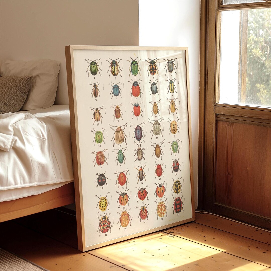 Vintage Ladybug Chart Print, Antique Insect Illustration, Cottagecore ...