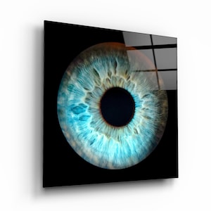 May include: A close-up of a blue eye with a dark brown iris and a black pupil. The eye is surrounded by a dark brown ring and a light blue ring.