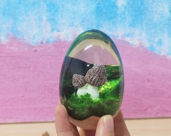 不完全 - モレル樹脂ウッドエッグ、ベジタリアンや自然愛好家へのギフト。（実際の商品は写真の通りです）