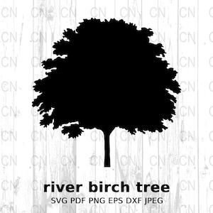 Birch Tree Silhouette, Birch Tree SVG, Woodland Tree Silhouette, Nature Clipart, Botanical Vector, Digital Cut File