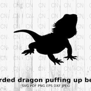 Bearded Dragon Silhouette ,Bearded Dragon Puffing Up Beard Silhouette,  SVG, Reptile Clipart,Lizard Vector,Wildlife Design, Digital Cut File