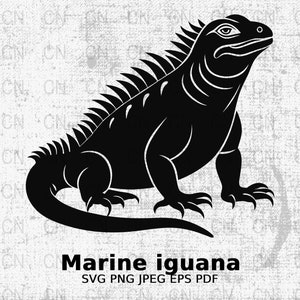 Marine Iguana Silhouette SVG, Ocean Reptile Clipart, Wildlife Vector, Marine Animal Digital Cut File