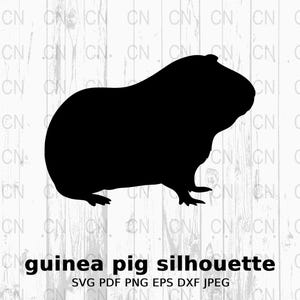 May include: Black silhouette of a guinea pig. The silhouette is facing the right side of the image. The image is on a white wood background. The text "guinea pig silhouette" is below the image. The text "SVG PDF PNG EPS DXF JPEG" is below the text "guinea pig silhouette".