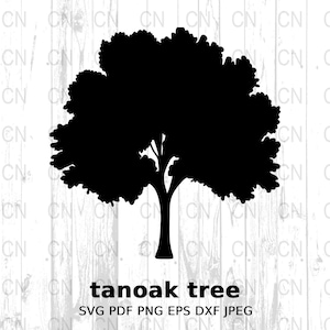 Tanoak Tree Silhouette, Tanoak Tree SVG, Oak Tree Silhouette, Nature Clipart, Woodland Vector, Digital Cut File
