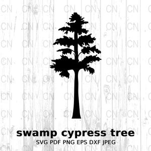 Puede incluir: Silueta negra de un ciprés de pantano sobre un fondo de madera blanca. El texto "swamp cypress tree" está debajo de la imagen, y "SVG PDF PNG EPS DXF JPEG" está debajo del texto.