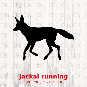 May include: Black silhouette of a jackal running to the right. The image is on a white woodgrain background. The text "jackal running" is below the image in red letters. The text "SVG PNG JPEG EPS PDF" is below the text "jackal running" in black letters.