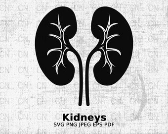 Kidneys svg png jpeg dxf, Vector Cutting files for Silhouette Cameo, ScanNcut, for Commercial use, Instant Download, Clipart