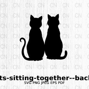 Può includere: Due gatti neri seduti uno accanto all'altro, di spalle allo spettatore. I gatti sono in silhouette, con le code arrotolate attorno ai loro corpi.