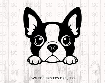 Peeking Boston Terrier SVG, Cute Dog Clipart, Puppy Face Cut File, Boston Terrier Silhouette PNG, Cricut Laser Engraving