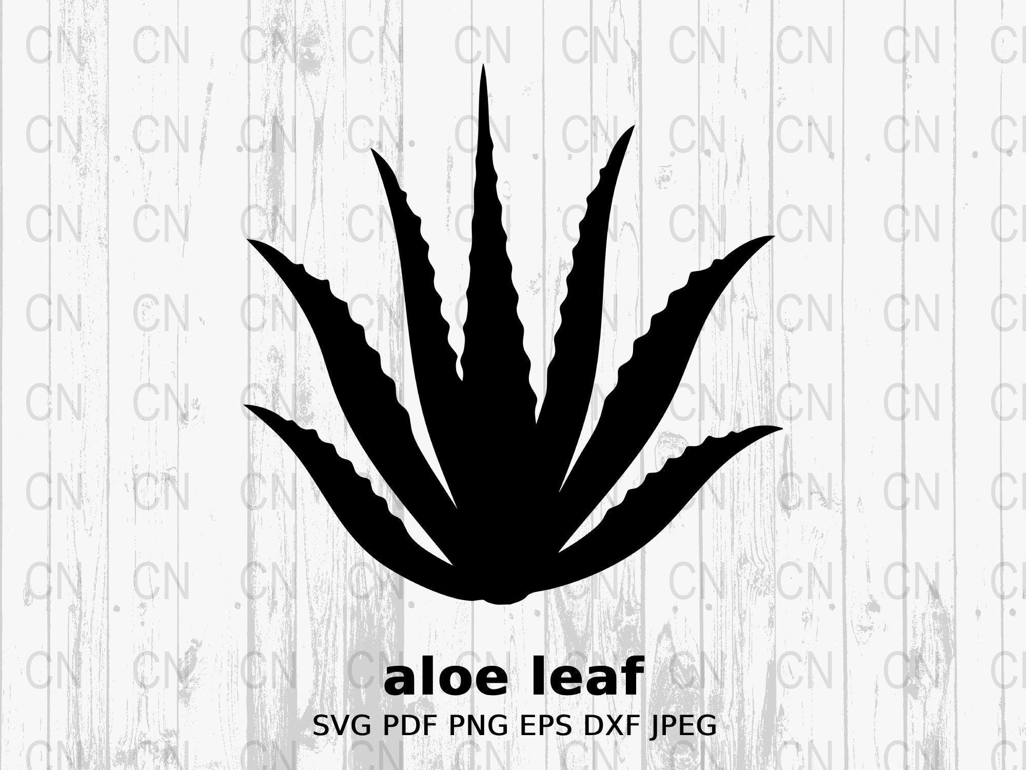 royal aloe vera body lotion B.Witching Bath Co. Body Lotion