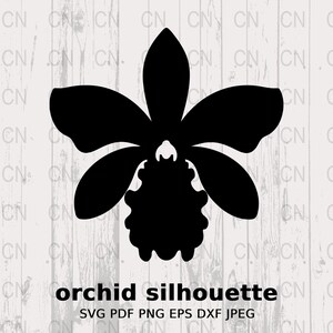 Orchid Silhouette, Orchid Flower SVG, Floral Silhouette, Nature Clipart, Botanical Vector, Digital Cut File