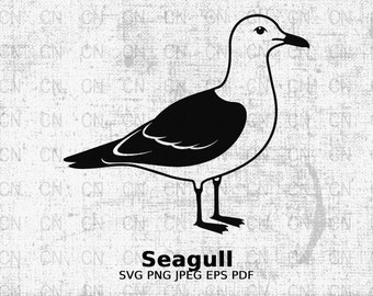 Zeemeeuw svg png jpeg dxf, vectorsnijbestanden voor de Silhouette Cameo, ScanNcut, voor commercieel gebruik, Instant Download, Clipart