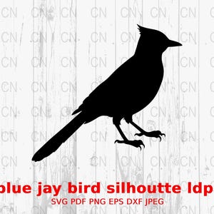 Blue Jay Bird SVG, Songbird Silhouette, Nature Clipart, Wildlife Vector, Digital Cut File