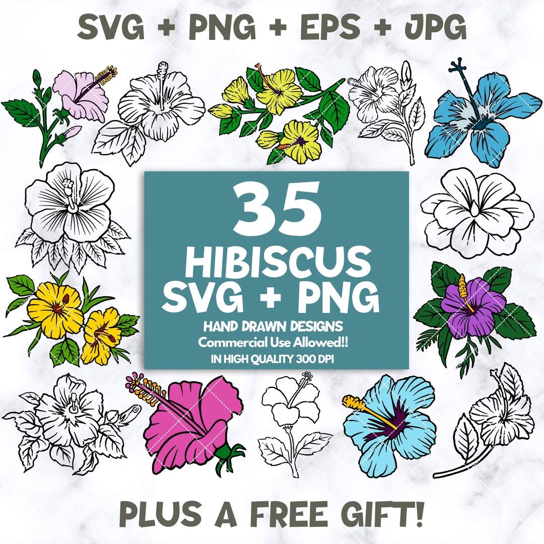 Hibiscus SVG Bundle, Hibiscus Clipart Set, Hibiscus Cut File, Hibiscus ...