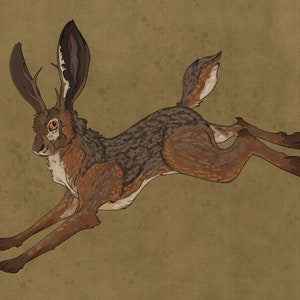 Jackalope Digital Art Print