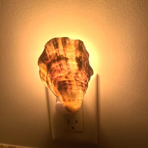 Oyster Shell Nightlight on sensor