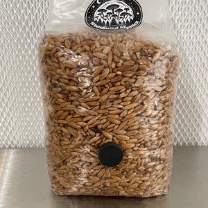 May include: A clear plastic bag filled with brown oat grain. The bag has a black circle sticker with the text "Woodland Mystics" and a mushroom design.