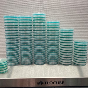 10 LME Agar 100mm Plates