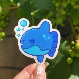 Mola Mola Ocean Sunfish Sticker