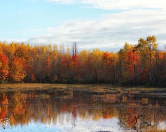 Autumn Reflection Photography Print: Brule Wisconsin