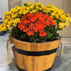 Acacia Wood Flower Box Set: Rustic Outdoor Planters with Handles