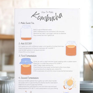 Guia de preparação de kombucha para impressão: Arte para parede da cozinha (download instantâneo)