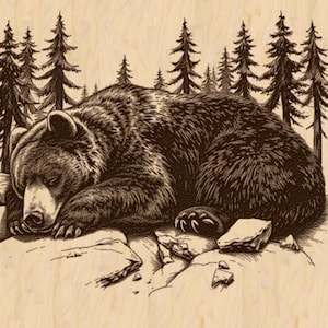 Silver Pack®! Sleeping Bear Laser Engraving File PNG_SVG_PDF_EPS, Rustic Bear & Forest Wildlife Art , Landscape Art, Laser burn file